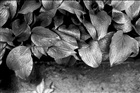 dailyPhoto22